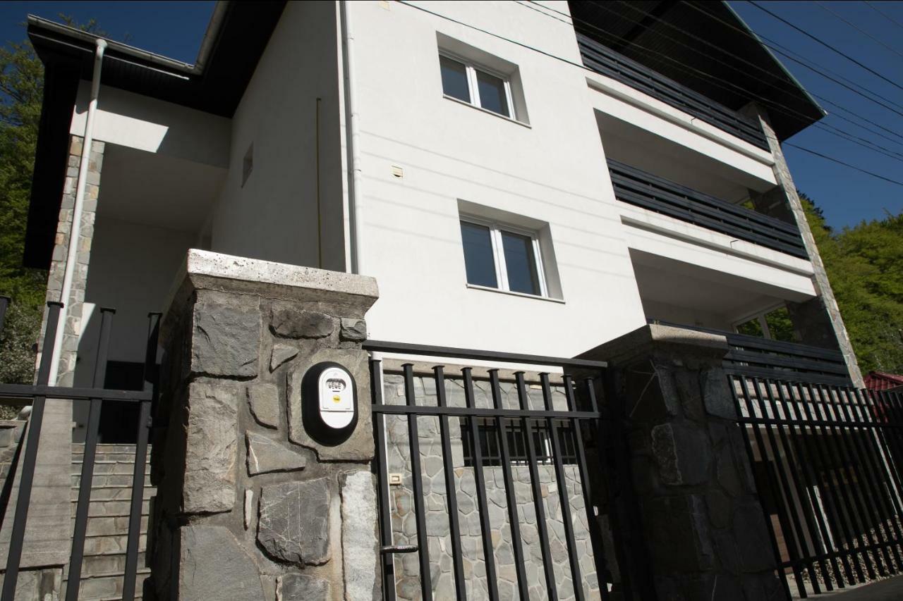 Studio 35 Busteni Exterior photo