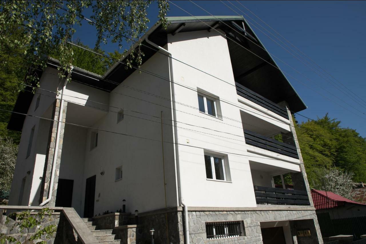 Studio 35 Busteni Exterior photo